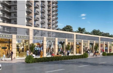 Commercial Property in Sector 78 Gurgaon